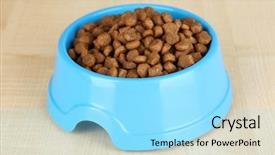  Presentation with dog food - PPT theme featuring dry dog food in bowl background and a arctic colored foreground
