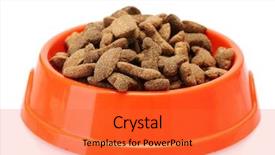  Presentation with dog food - Slide deck featuring dry dog food in orange background and a red colored foreground