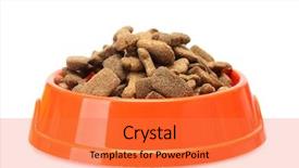  Presentation with dog food - Presentation theme having dry dog food in orange background and a  colored foreground