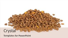  Presentation with dog food - Beautiful slides featuring dry dog food backdrop and a  colored foreground