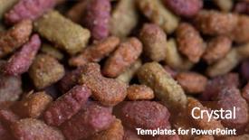  Presentation with dog cat - PPT layouts featuring dry dog or cat food background and a  colored foreground