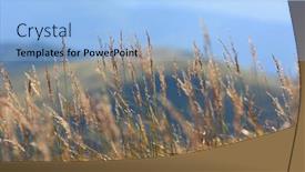  Presentation with dry - Beautiful PPT theme featuring dry-drass-on-mountain-meadow backdrop and a light blue colored foreground