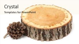  Presentation with dry forest - Slide deck consisting of dry evergreen forest - cedar cone and wood slice background and a blonde colored foreground