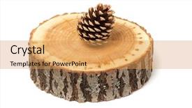  Presentation with cedar - Cool new PPT theme with dry evergreen forest - cedar cone on wood slice backdrop and a yellow colored foreground