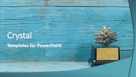  Presentation with pine cone - Theme having dry evergreen forest - pine cone on a wooden background and a  colored foreground