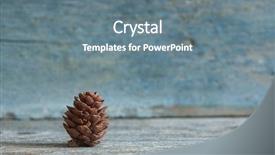  Presentation with dry forest - Colorful theme enhanced with dry evergreen forest - single pine cone close up backdrop and a gray colored foreground