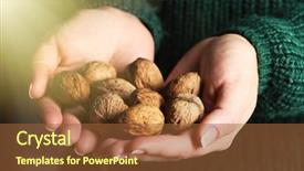  Presentation with dry forest - Amazing presentation design having dry evergreen forest - woman holding walnuts closeup backdrop and a  colored foreground