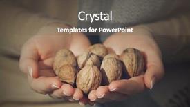  Presentation with closeup of ground spices cumin - Colorful presentation theme enhanced with dry evergreen forest - woman holding walnuts closeup backdrop and a  colored foreground