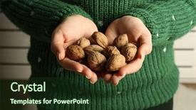  Presentation with isp network cables closeup - Presentation with dry evergreen forest - woman holding walnuts closeup background and a  colored foreground
