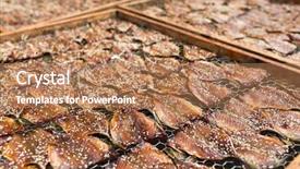  Presentation with dry fish - Presentation theme enhanced with dry-fish background and a coral colored foreground