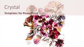  Presentation with white flowers of jasmine - Presentation consisting of dry-flowers-on-the-white background and a lemonade colored foreground