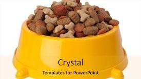  Presentation with dog food - Cool new PPT layouts with dry food in a bowl backdrop and a gold colored foreground