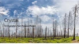  Presentation with dry forest - Presentation theme enhanced with environmental pollution - dry forest against green grass background and a  colored foreground