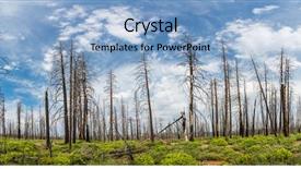  Presentation with dry forest - Audience pleasing presentation theme consisting of environmental pollution - dry forest against green grass backdrop and a  colored foreground