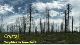  Presentation with dry forest - Amazing PPT theme having environmental pollution - dry forest against green grass backdrop and a  colored foreground