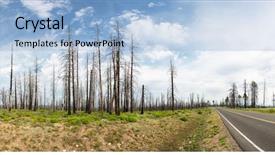  Presentation with dry forest - Presentation theme enhanced with environmental pollution - dry forest against green grass background and a  colored foreground