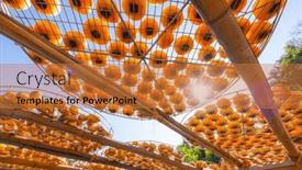  Presentation with factory - Slide set enhanced with dry-freshly-harvested-persimmons background and a gold colored foreground