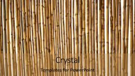  Presentation with luxury golden texture - Audience pleasing presentation design consisting of dry golden dry cane texture backdrop and a gold colored foreground