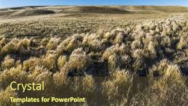  Presentation with dry - Theme featuring dry-grass-on-the-hills background and a tawny brown colored foreground