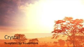  Presentation with sunrise - Amazing PPT theme having dry grassland - african sunrise landscape backdrop and a gold colored foreground