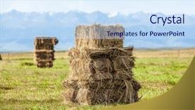  Presentation with dry - Audience pleasing slide set consisting of dry grassland - haystack on the prairie backdrop and a sky blue colored foreground
