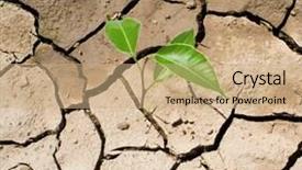  Presentation with drought - Audience pleasing presentation consisting of dry ground - cracked parched land backdrop and a coral colored foreground