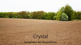  Presentation with trees - Presentation theme featuring dry ground - trees and plowed field background and a coral colored foreground