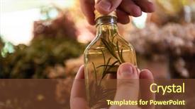  Presentation with organic chemistry - Amazing PPT theme having dry healthy herbs in background backdrop and a tawny brown colored foreground