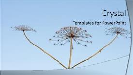  Presentation with crown - Beautiful presentation featuring abstract blur silhouette of people walking out of a dark tunnel into the light blue toning backdrop and a ocean colored foreground