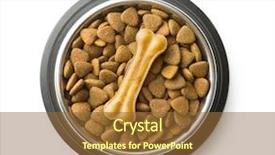  Presentation with dog food - PPT layouts having dry kibble dog food background and a tawny brown colored foreground
