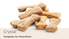  Presentation with pet food - Presentation theme consisting of dry kibble pet food kibble for dog or cat isolated on white background background and a coral colored foreground