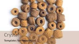  Presentation with pet food - Presentation theme featuring dry kibble pet food kibble for dog or cat isolated on white background background and a coral colored foreground