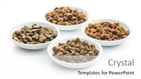  Presentation with pet food - PPT theme consisting of dry kibble pet food in bowl kibble for dog or cat isolated on white background background and a white colored foreground