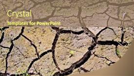  Presentation with land - PPT layouts with high quality corn farming and the owner background and a coral colored foreground