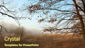  Presentation with dry forest - Beautiful slide deck featuring dry landscape - bare forest in late autumn backdrop and a tawny brown colored foreground