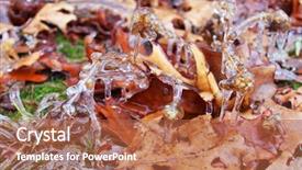  Presentation with oak tree - PPT theme with dry leafs mostly from the oak tree on the ground background and a red colored foreground
