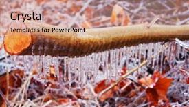  Presentation with oak tree - Audience pleasing PPT theme consisting of dry leafs mostly from the oak tree on the ground backdrop and a coral colored foreground