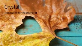  Presentation with cute flower heart - Amazing presentation having dry leaves - dried autumn leaf with cutout backdrop and a red colored foreground