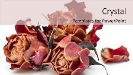  Presentation with red hibiscus rosa sinensis flower - Presentation design enhanced with dry leaves - dried rose flower head isolated background and a lemonade colored foreground