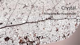  Presentation with old brown paper texture - Theme featuring dry leaves - old brown dead leaf texture background and a soft green colored foreground