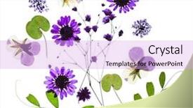  Presentation with summer flowers - Colorful PPT theme enhanced with genetic - scientist with a molecular structure backdrop and a light blue colored foreground