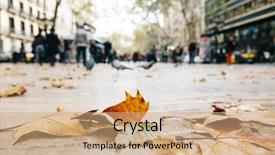  Presentation with rainy day - PPT theme having dry leaves on the pavement background and a coral colored foreground