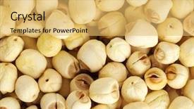  Presentation with seed - Slide deck featuring dry lotus seed background and a yellow colored foreground