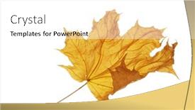  Presentation with maple leaf - PPT theme featuring young blond woman in a sailor outfit saluting towards the camera and smiling isolated on white background background and a light gray colored foreground