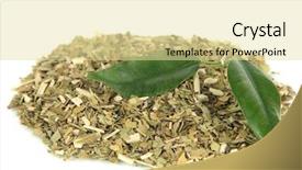  Presentation with tea - Cool new slide set with dry mate tea isolated backdrop and a blonde colored foreground