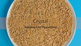  Presentation with oat - Cool new slide deck with dry-oat-plant-in-plate backdrop and a gold colored foreground