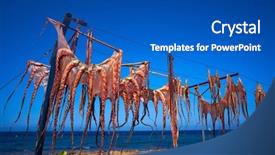  Presentation with sea sun - Slides consisting of dry octopus dried at mediterranean background and a teal colored foreground