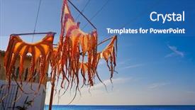  Presentation with octopus - Cool new slide deck with dry octopus dried at mediterranean backdrop and a ocean colored foreground