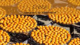  Presentation with dry - PPT theme consisting of dry-persimmon-fruit-production-under background and a gold colored foreground