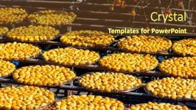  Presentation with dry - PPT theme having dry-persimmon-fruit-production-under background and a tawny brown colored foreground
